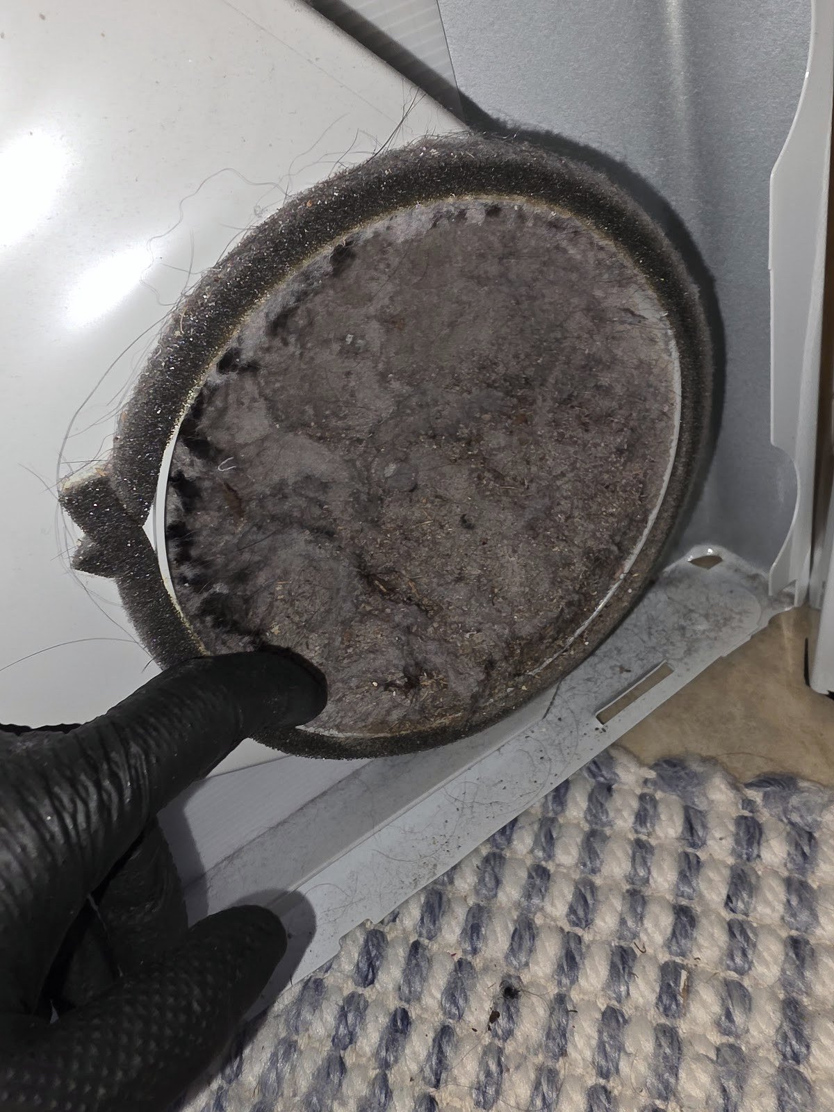 Lint accumulation visible at an internal dryer blower opening